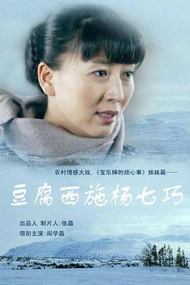 豆腐西施杨七巧第14集