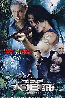 大追捕2008第15集