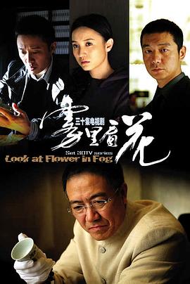 雾里看花第16集
