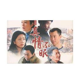 真情不眠第19集