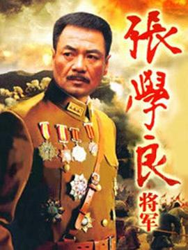张学良将军第22集