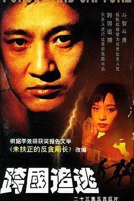 跨国追逃第10集