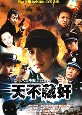 天不藏奸第04集