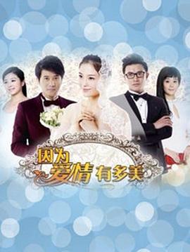 因为爱情有多美DVD版第65集