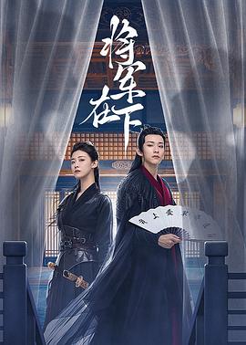 将军在下第17集