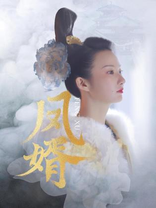 凤婿第20集
