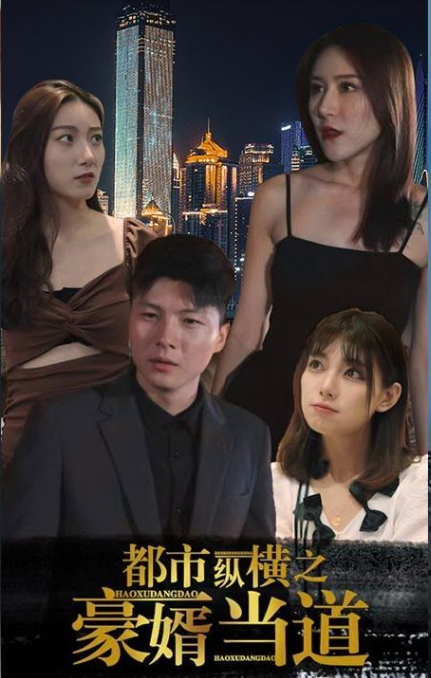都市纵横之豪婿当道第28集