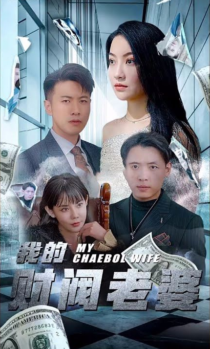我的财阀老婆第41集