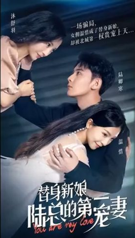 替身新娘:陆总的第一宠妻第05集