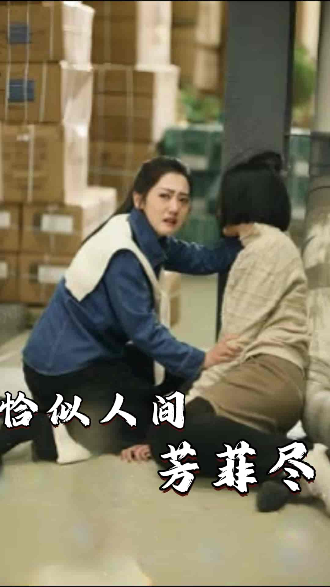 恰似人间芳菲尽第41集