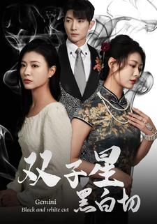双子星黑白切第66集