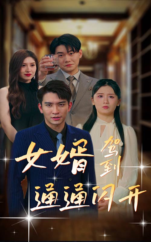 女婿驾到，通通闪开第12集