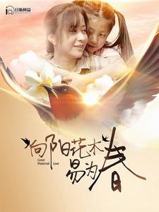 向阳花木易为春第12集