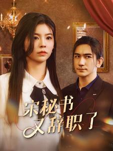 宋秘书又辞职了第35集