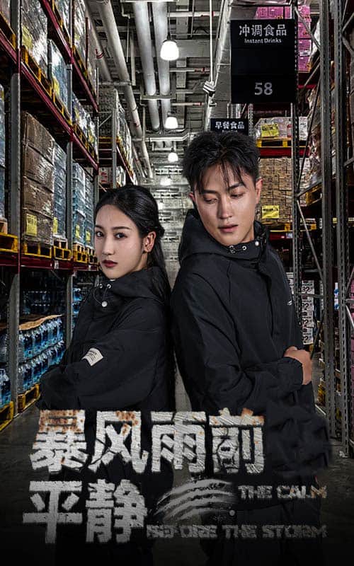 暴风雨前的平静第07集