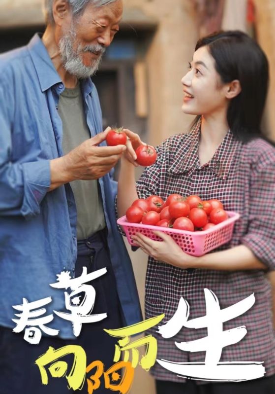 春草向阳而生第04集