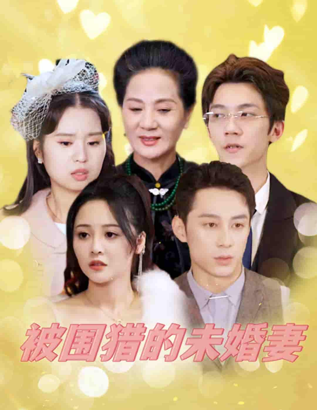 被围猎的未婚妻第08集