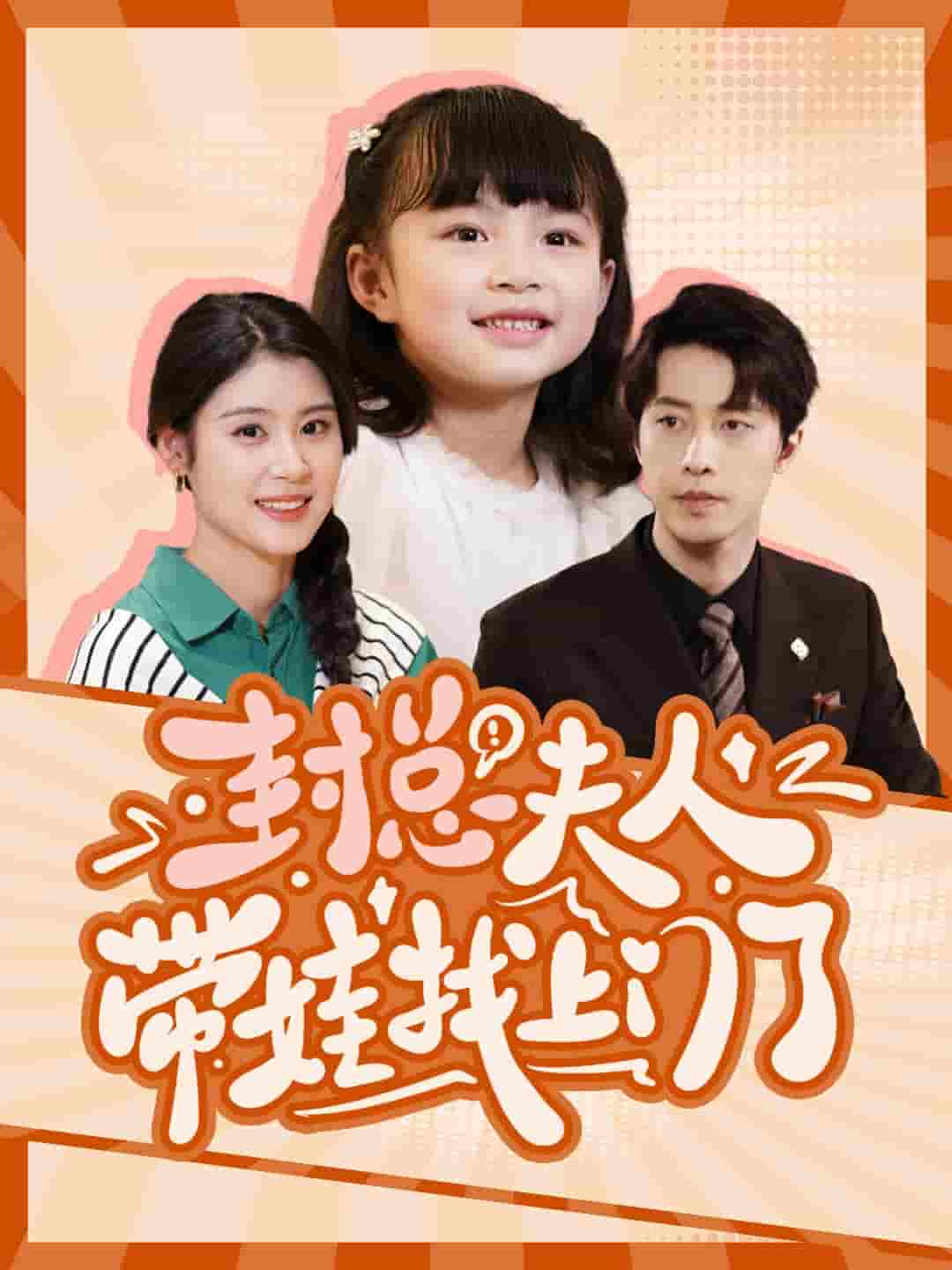 封总夫人带娃找上门了第47集