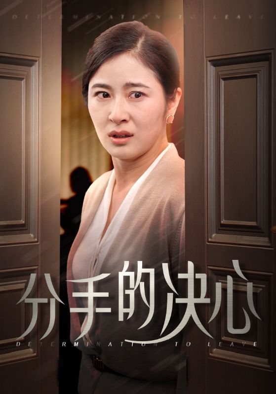 分手的决心 短剧版第15集