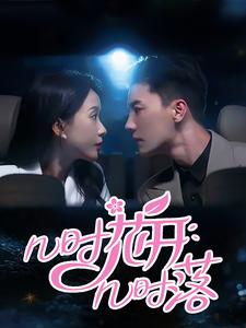 几时花开几时落第29集