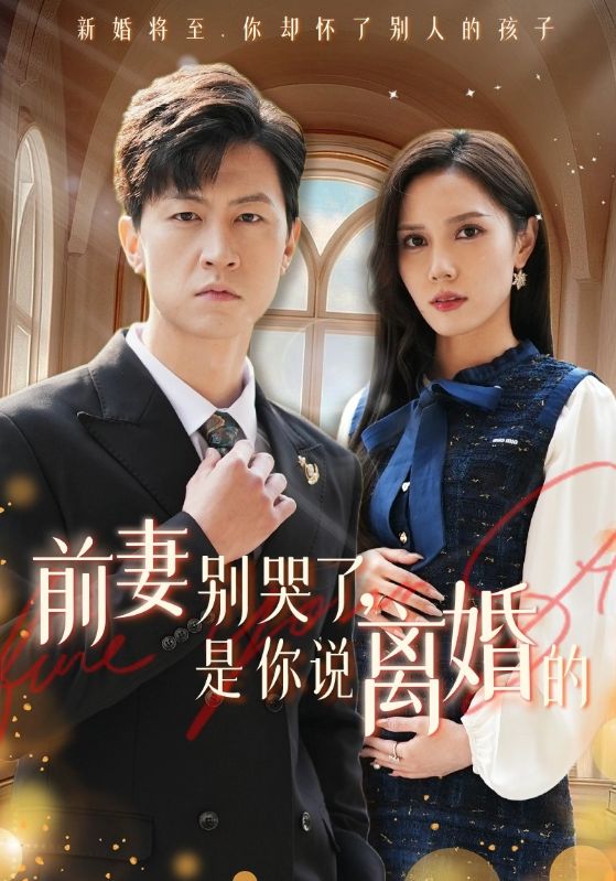 前妻别哭了是你说离婚的第20集