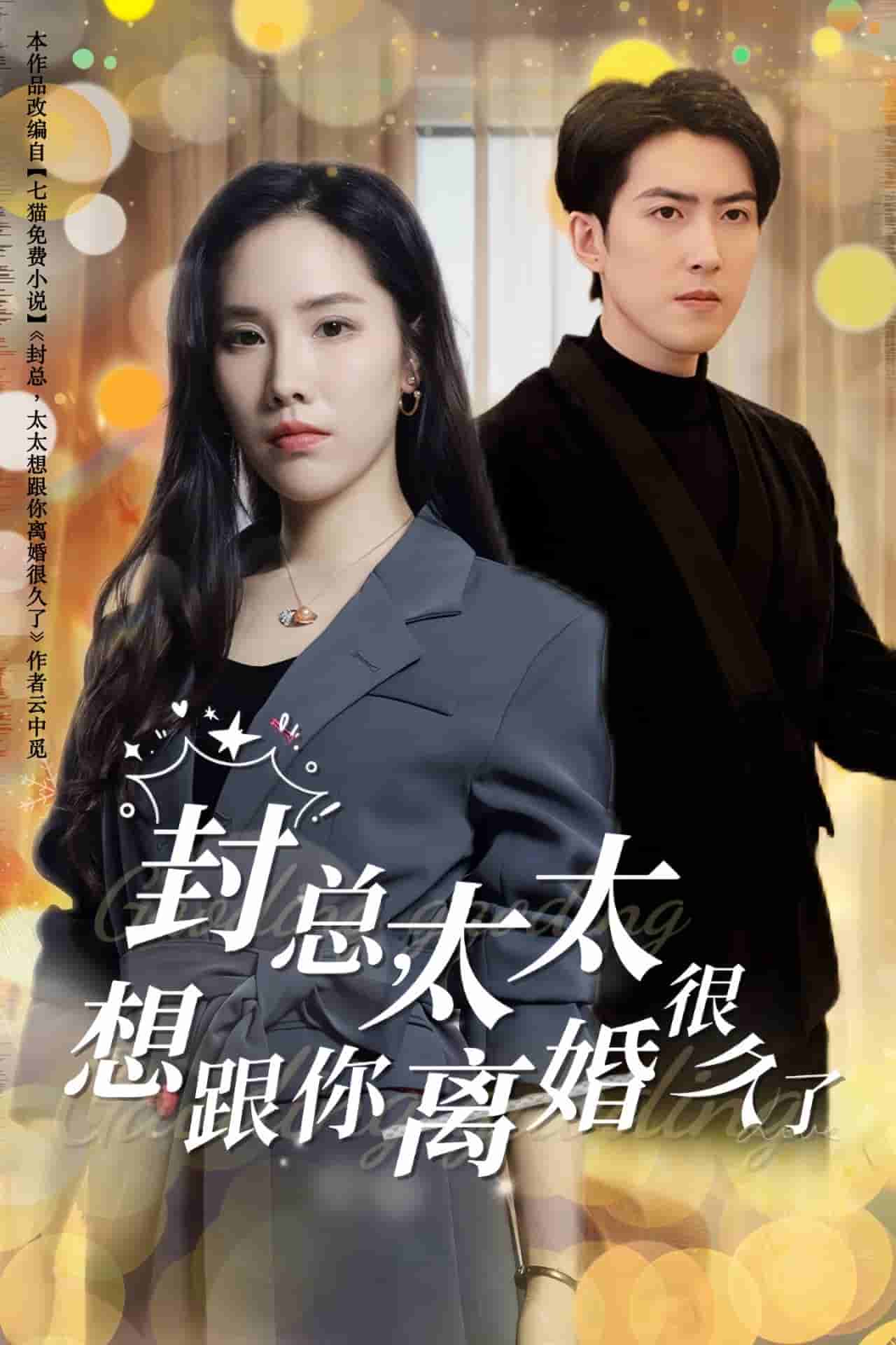 封总太太想跟你离婚很久了第30集