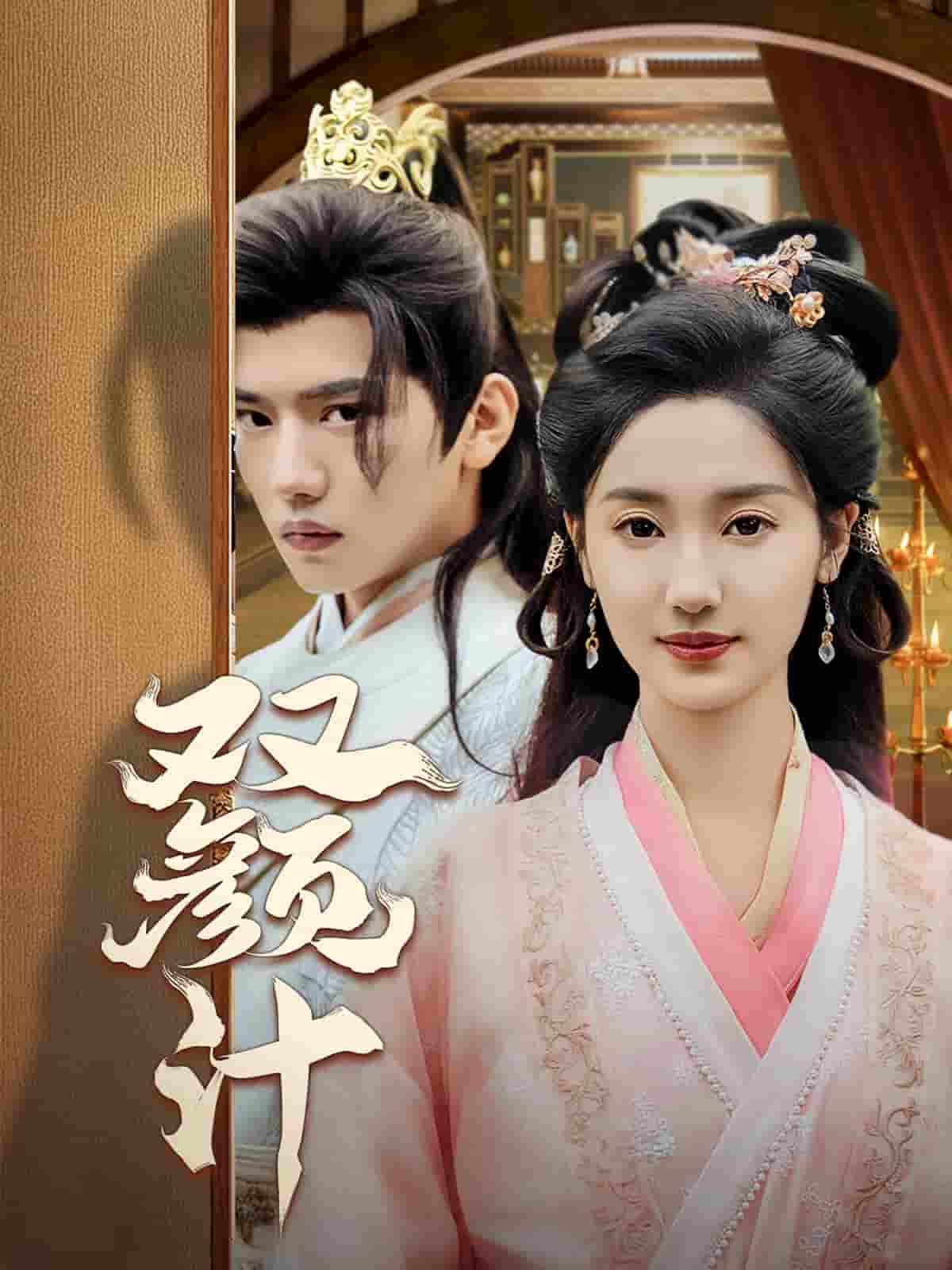 双颜计第28集