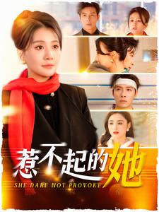 惹不起的她第35集