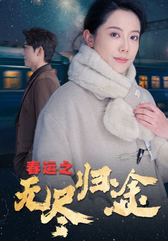 春运之无尽归途第36集
