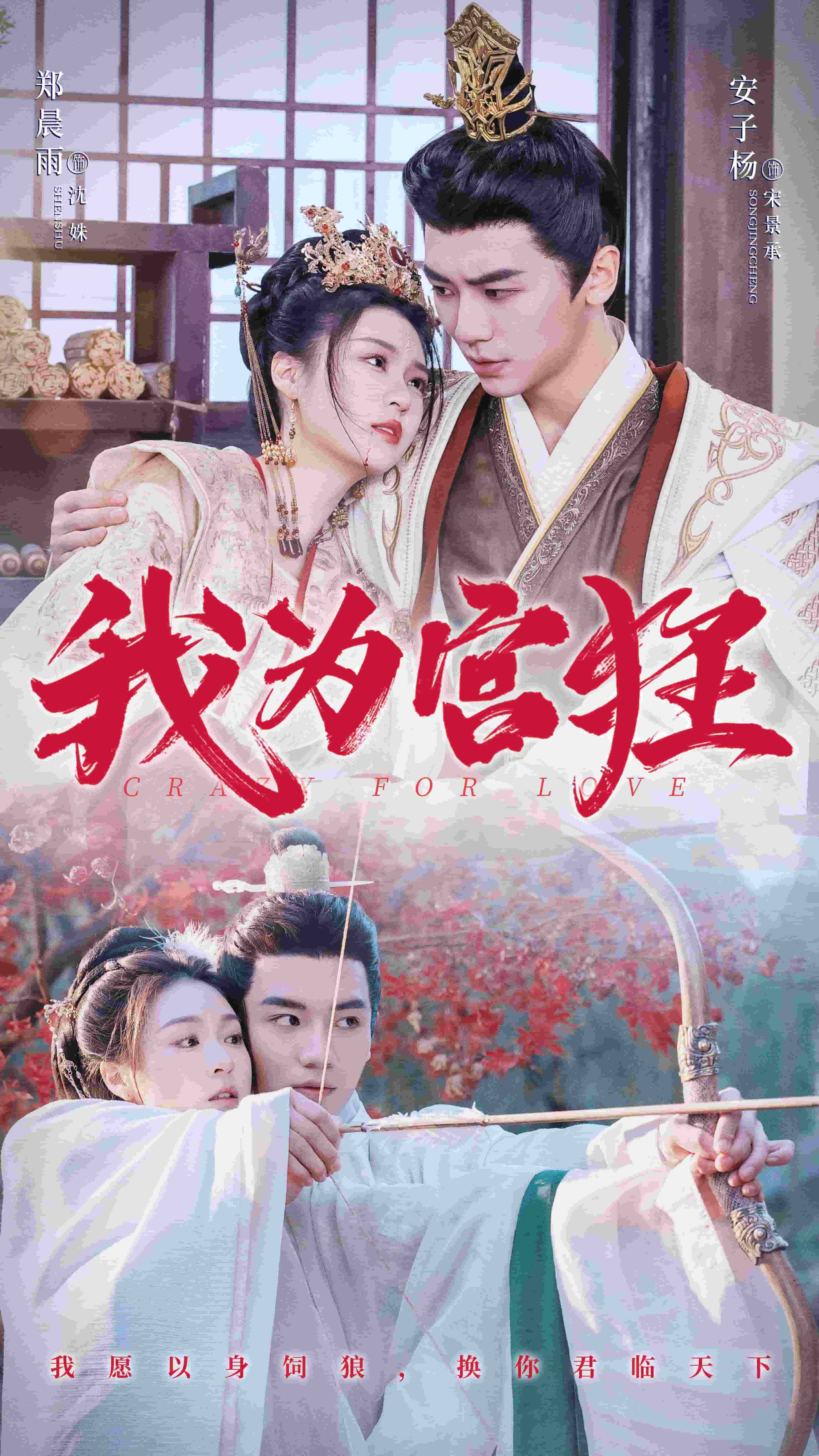 我为宫狂第49集
