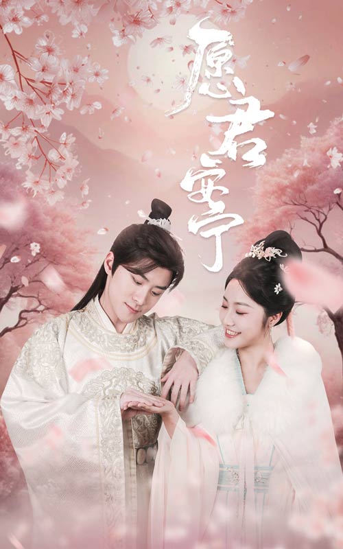 愿君安宁第6集