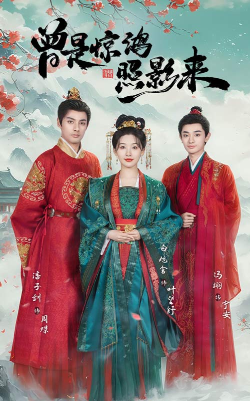 曾是惊鸿照影来第30集