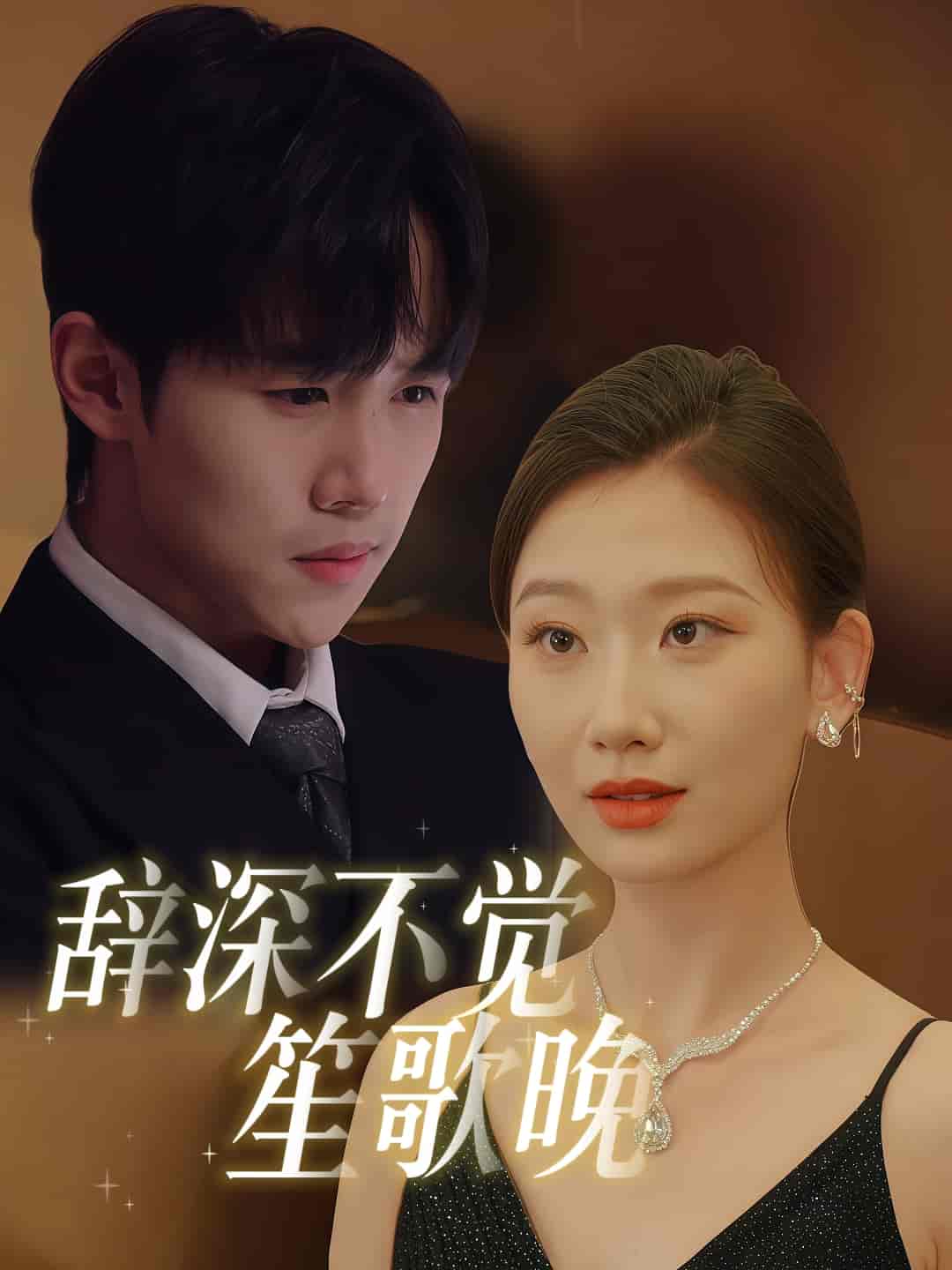 辞深不觉笙歌晚第48集