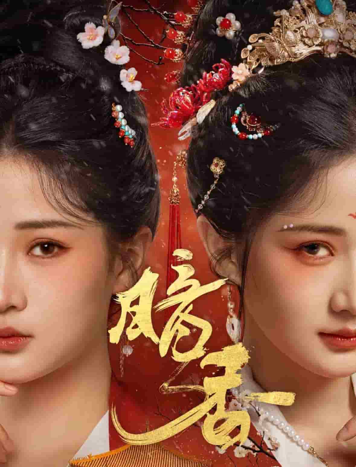 暗香（短剧版）第17集