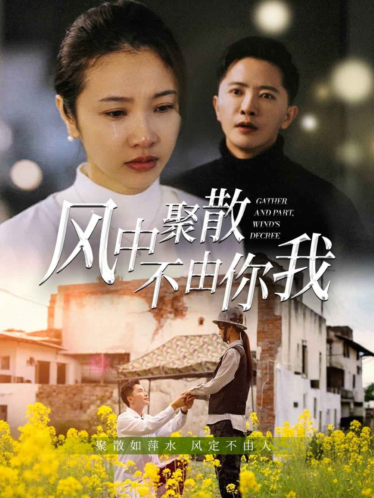 风中聚散不由你我第5集