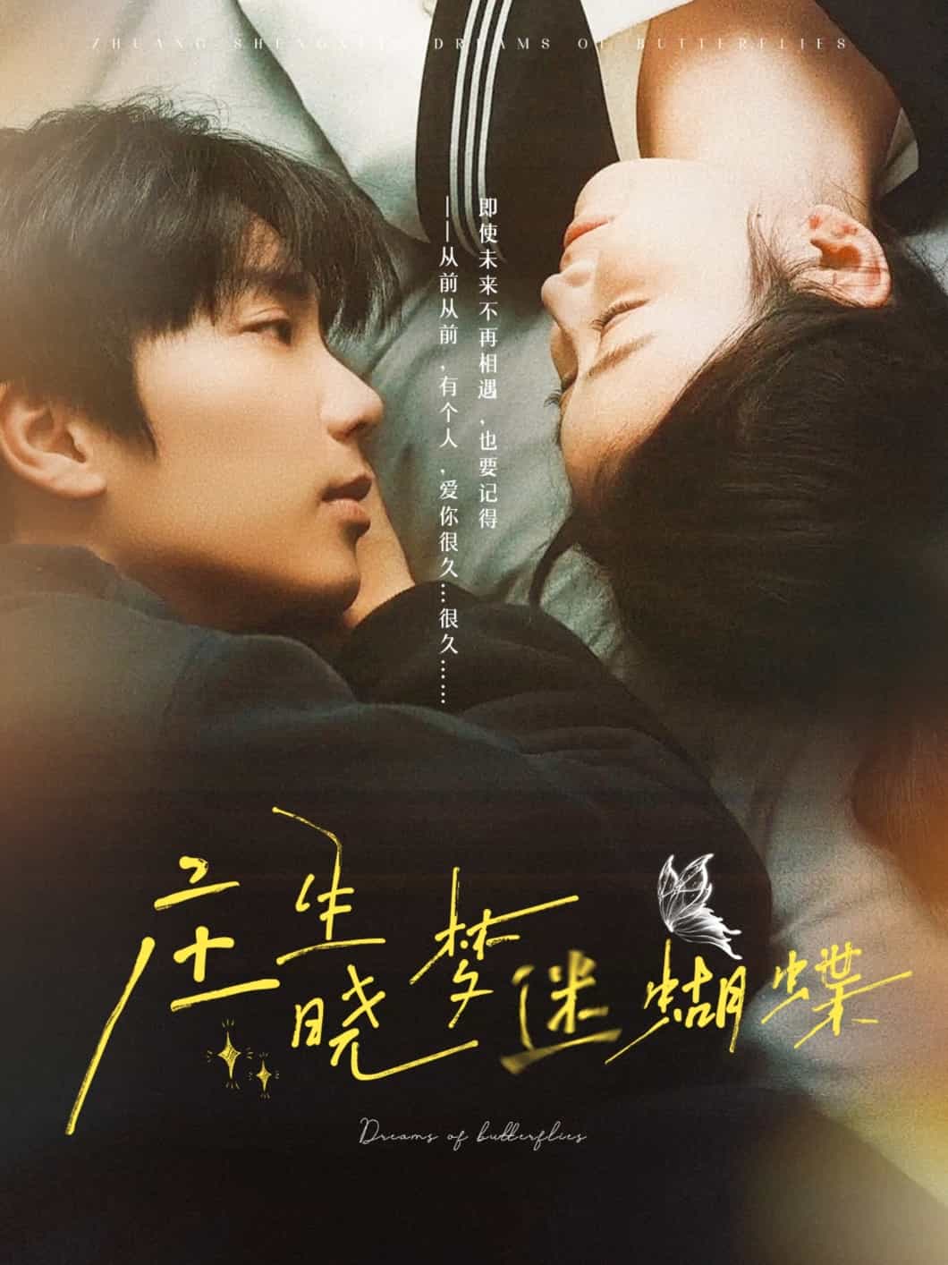 庄生晓梦迷蝴蝶第28集