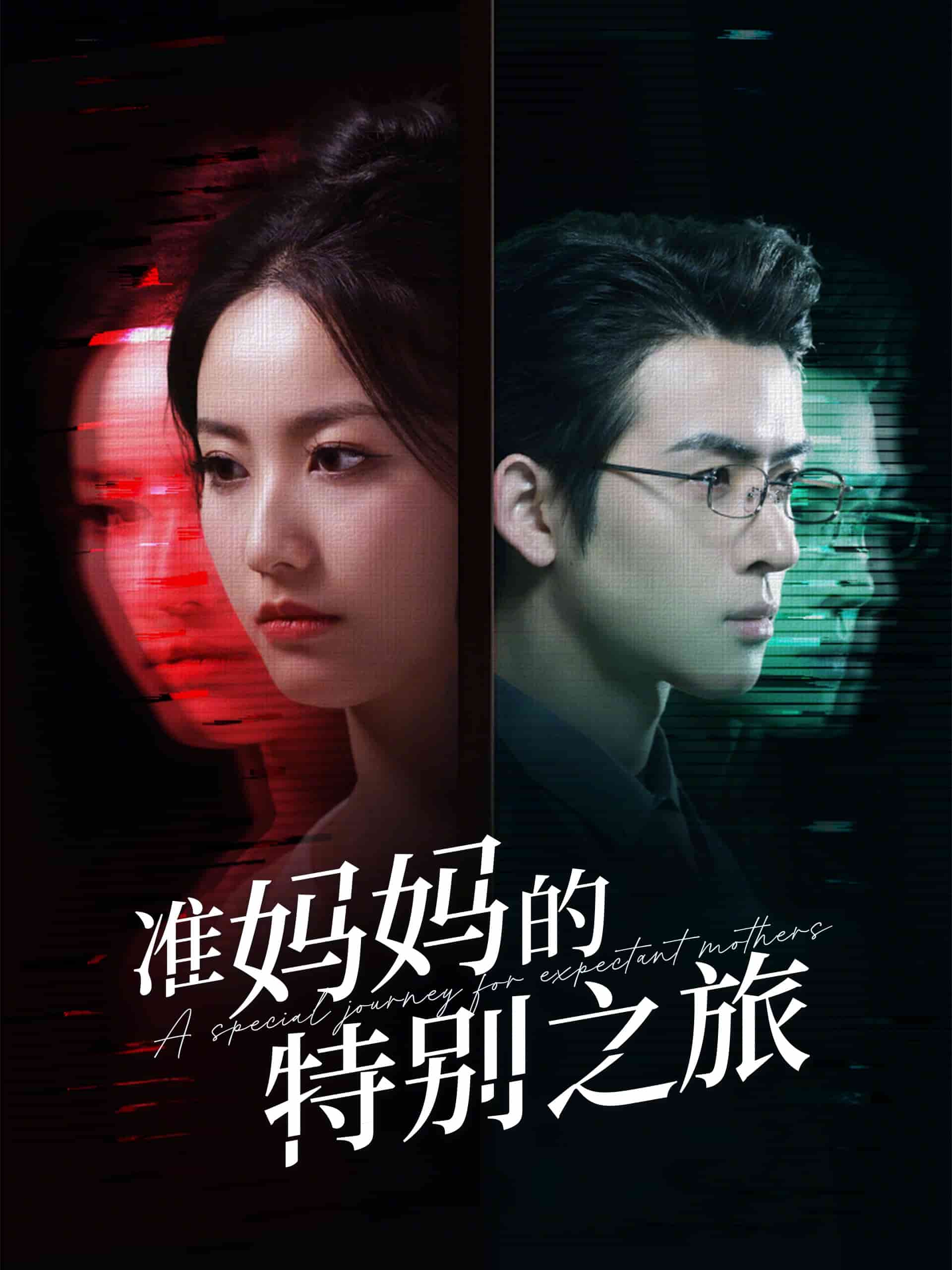 准妈妈的特别之旅第46集