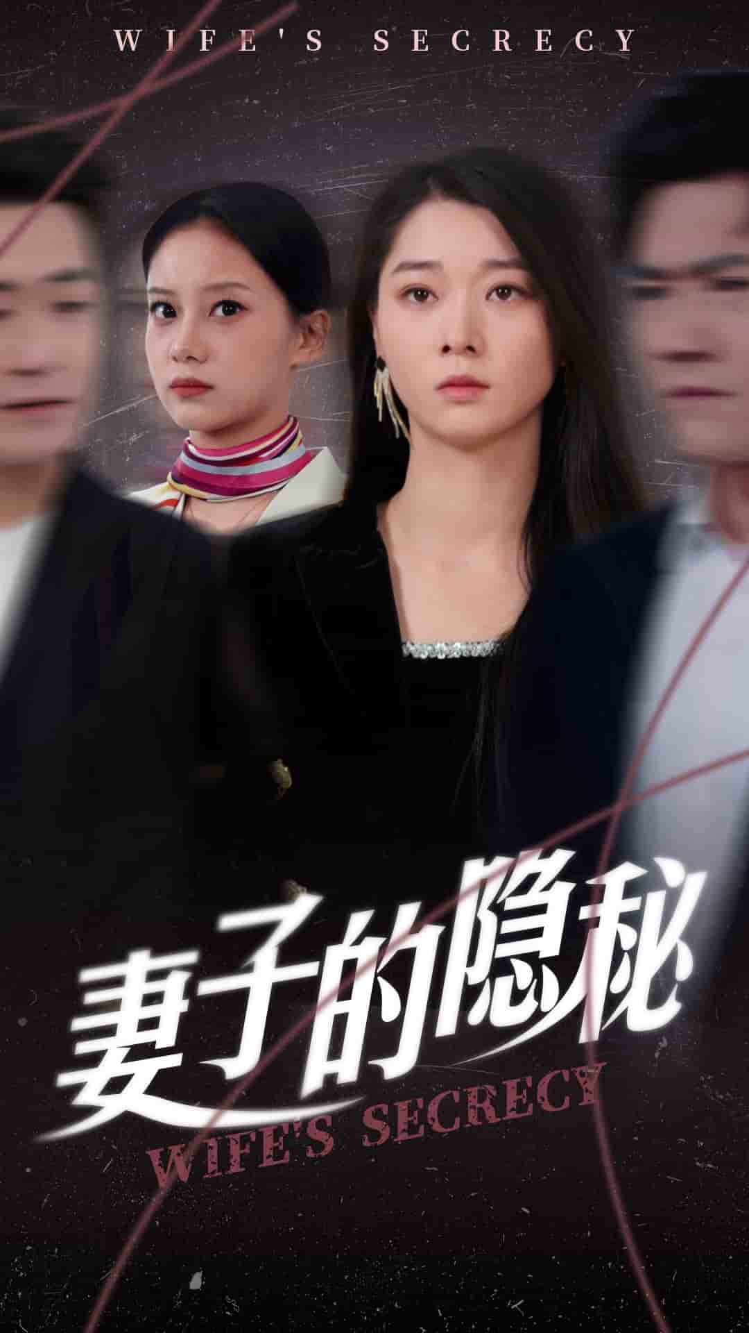 妻子的隐秘第3集