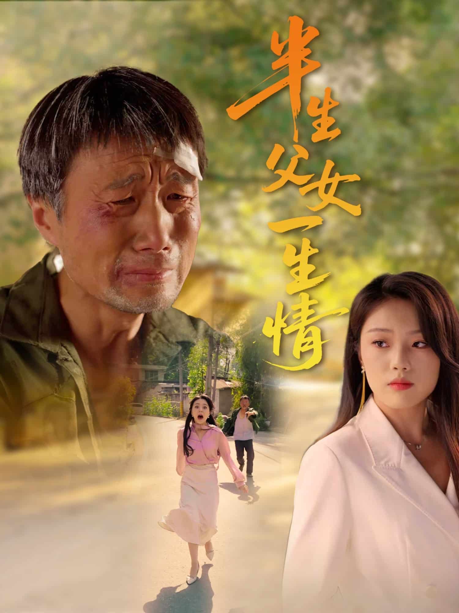 半生父女一生情第45集(大结局)