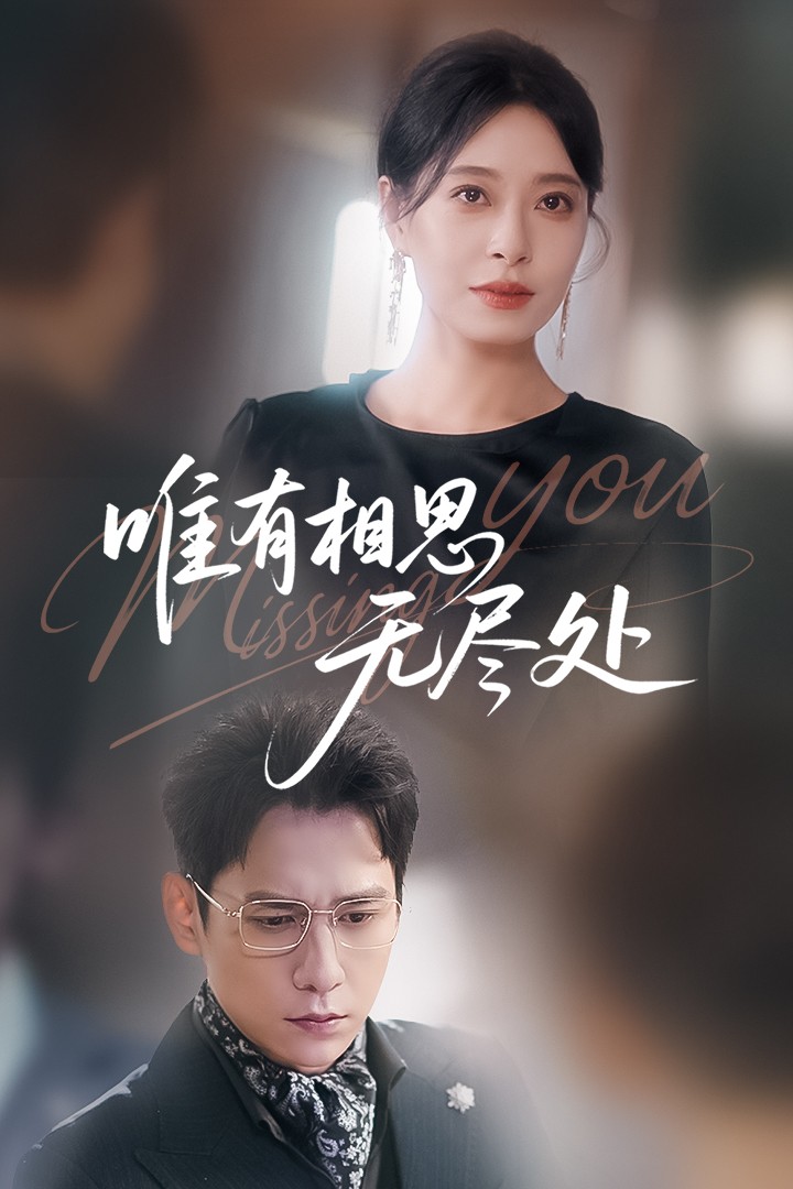 唯有相思无尽处第48集