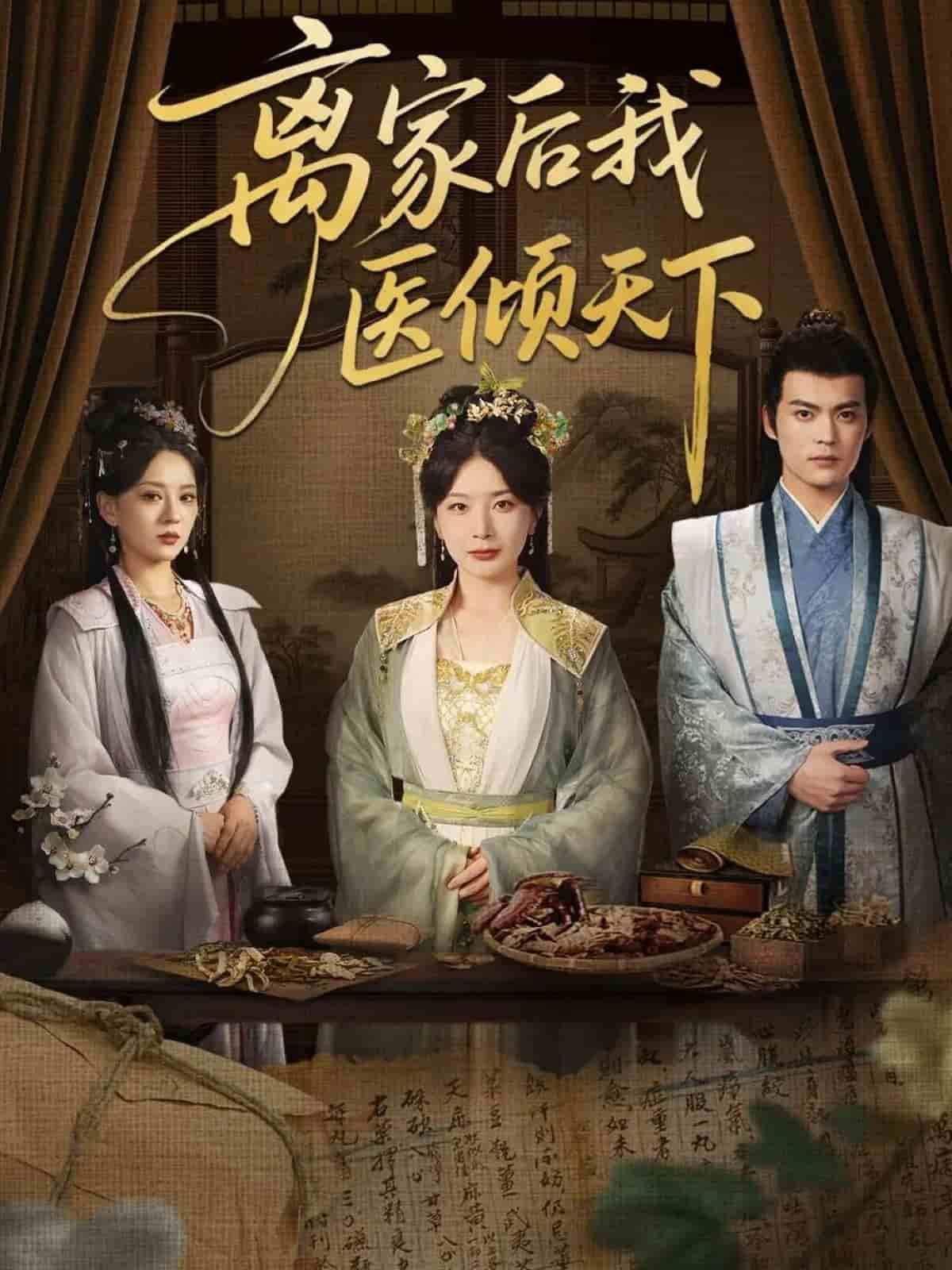 离家后我医倾天下第091集