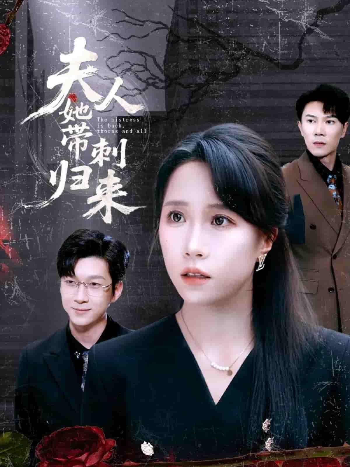 夫人她带刺归来第29集