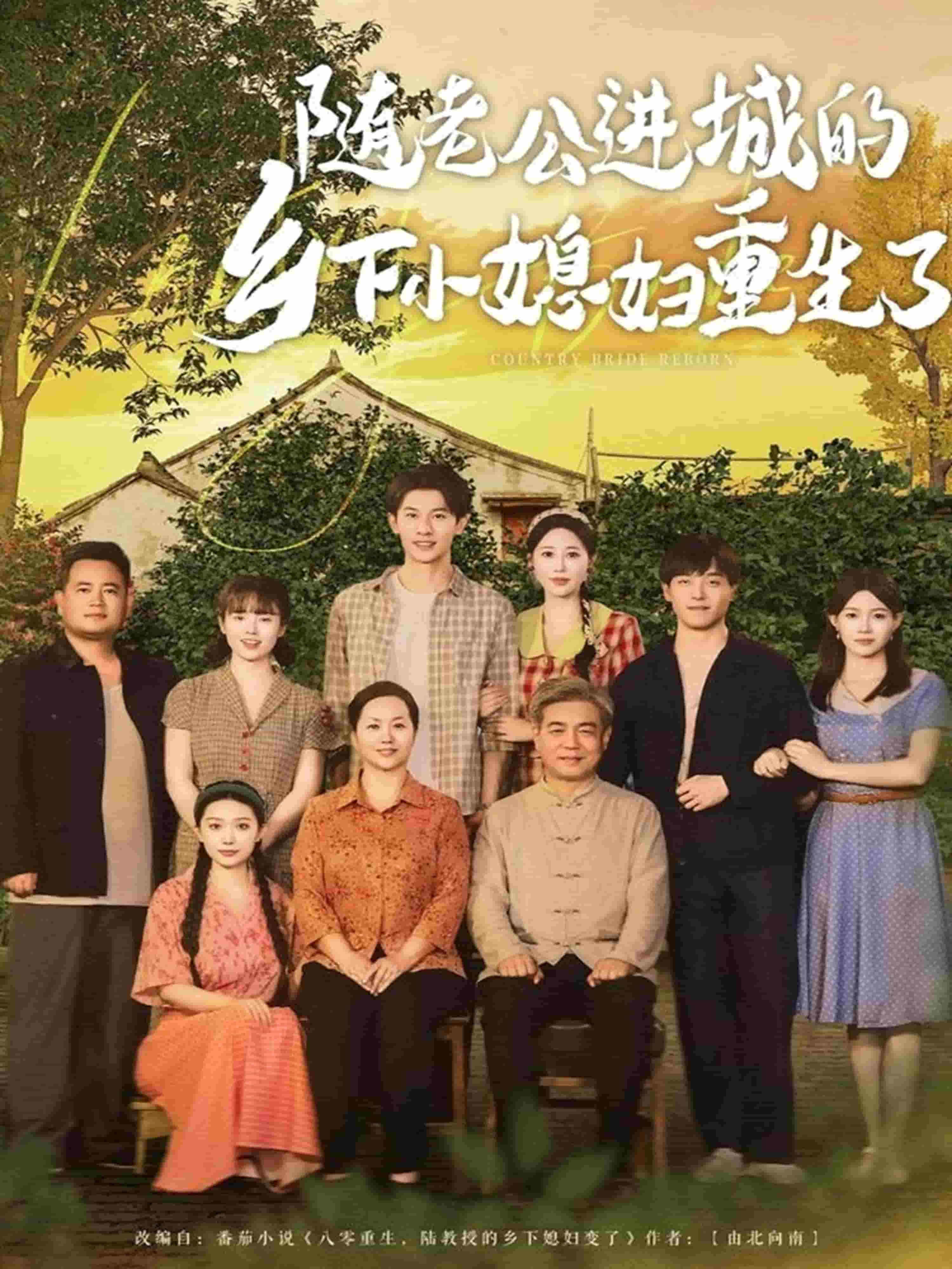随老公进城的乡下小媳妇重生了第66集