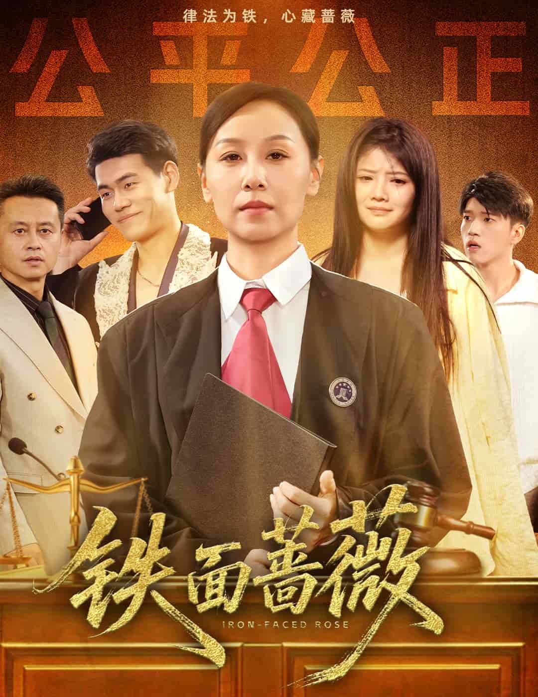 铁面蔷薇第13集
