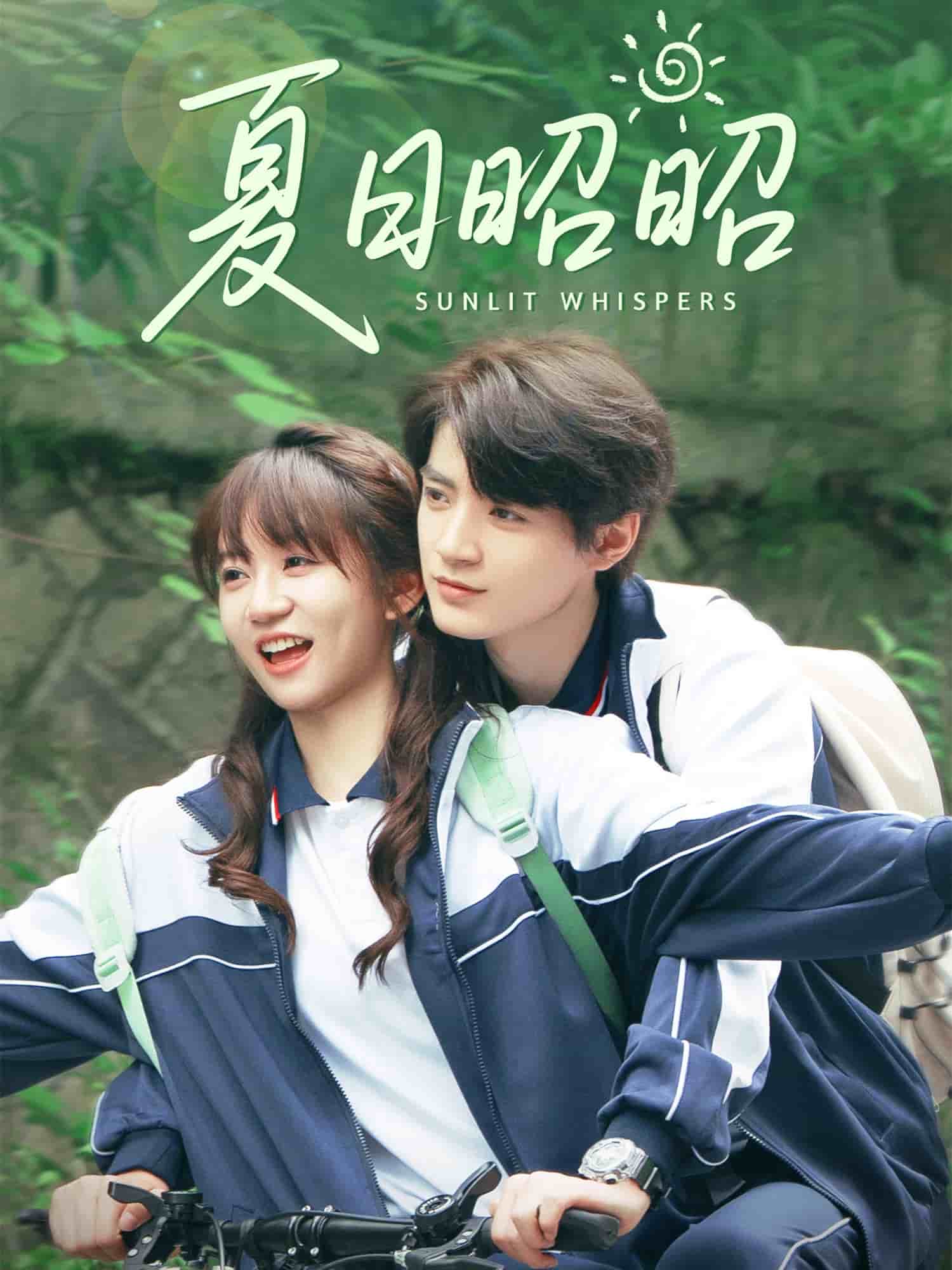夏日昭昭第45集