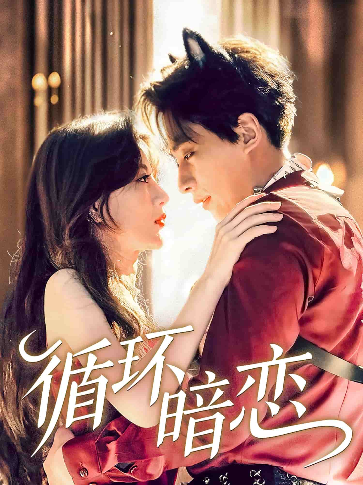 循环暗恋第29集