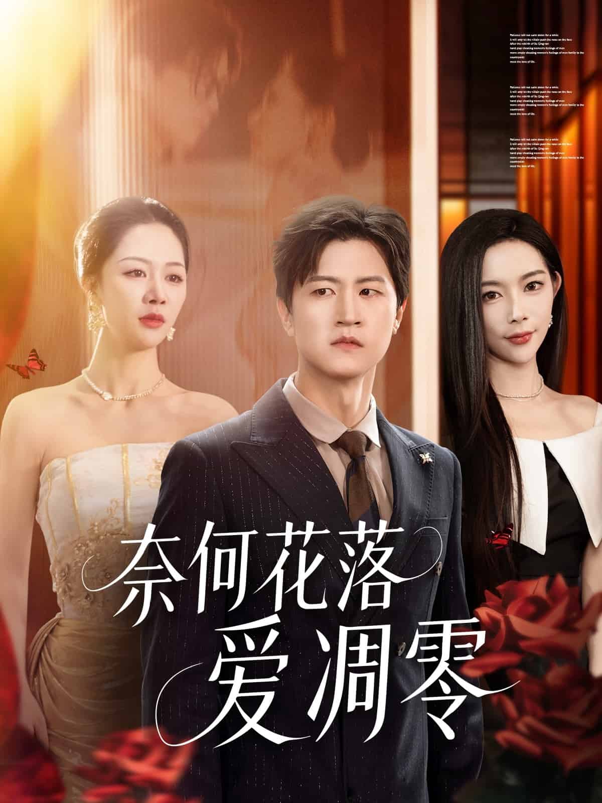 奈何花落爱凋零第25集
