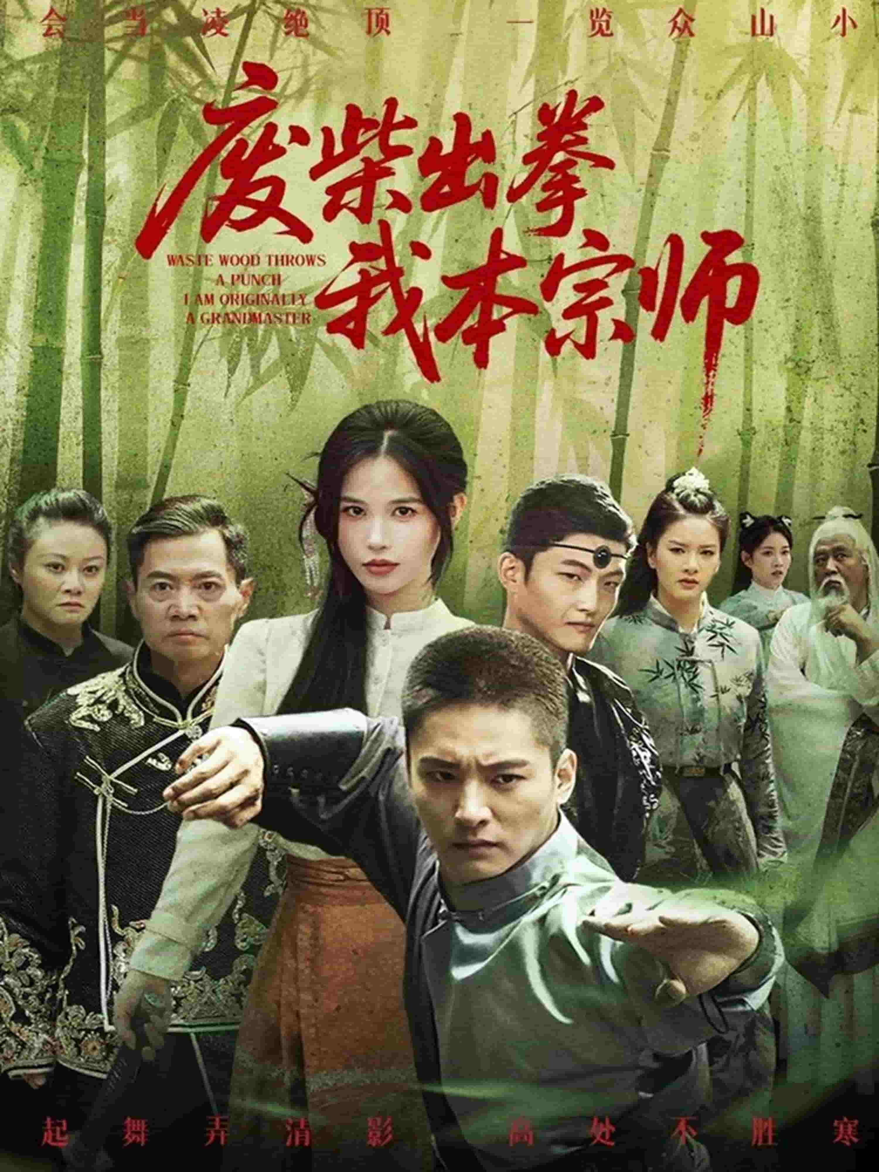 废柴出拳我本宗师第32集