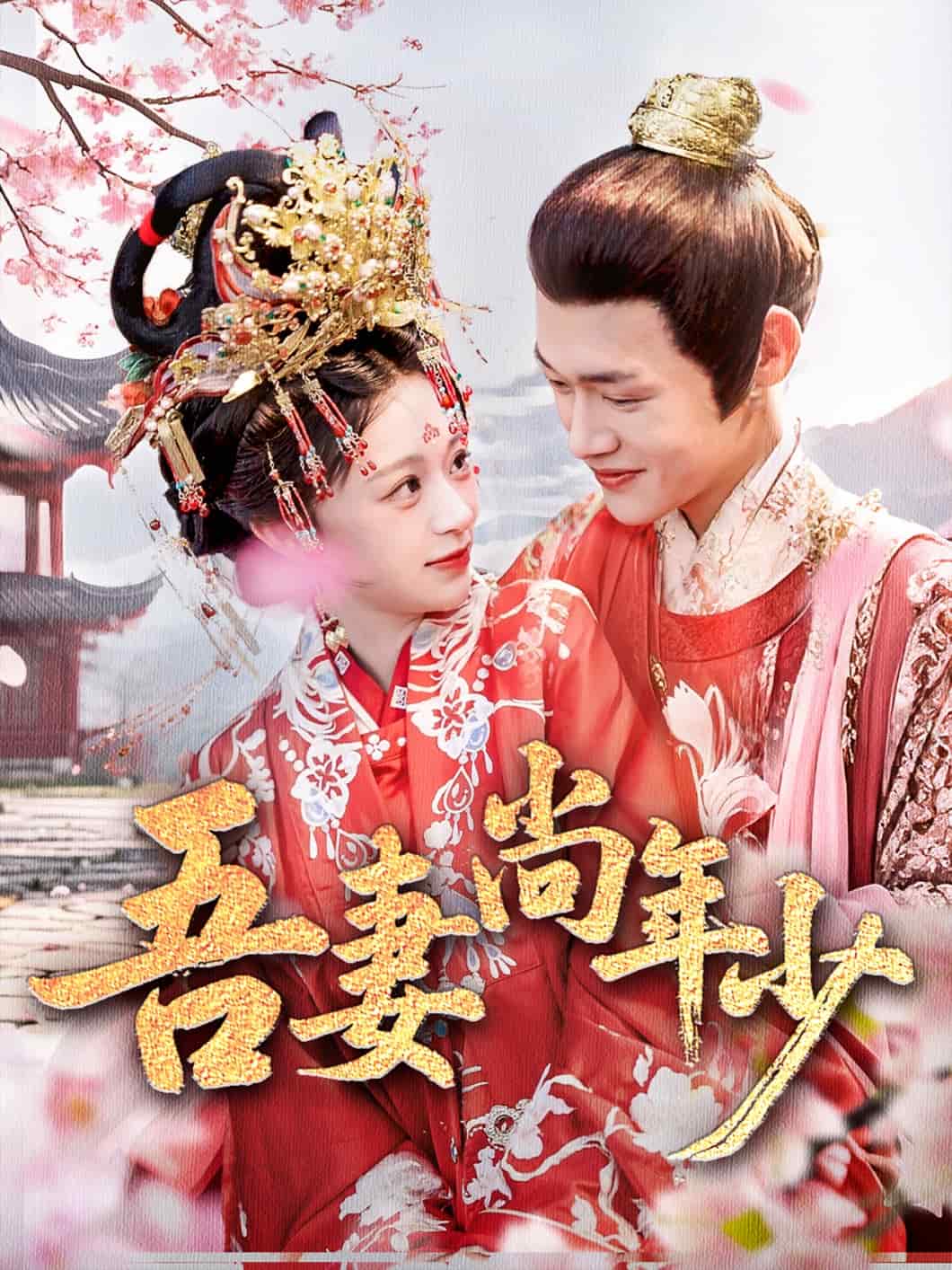 吾妻尚年少第13集