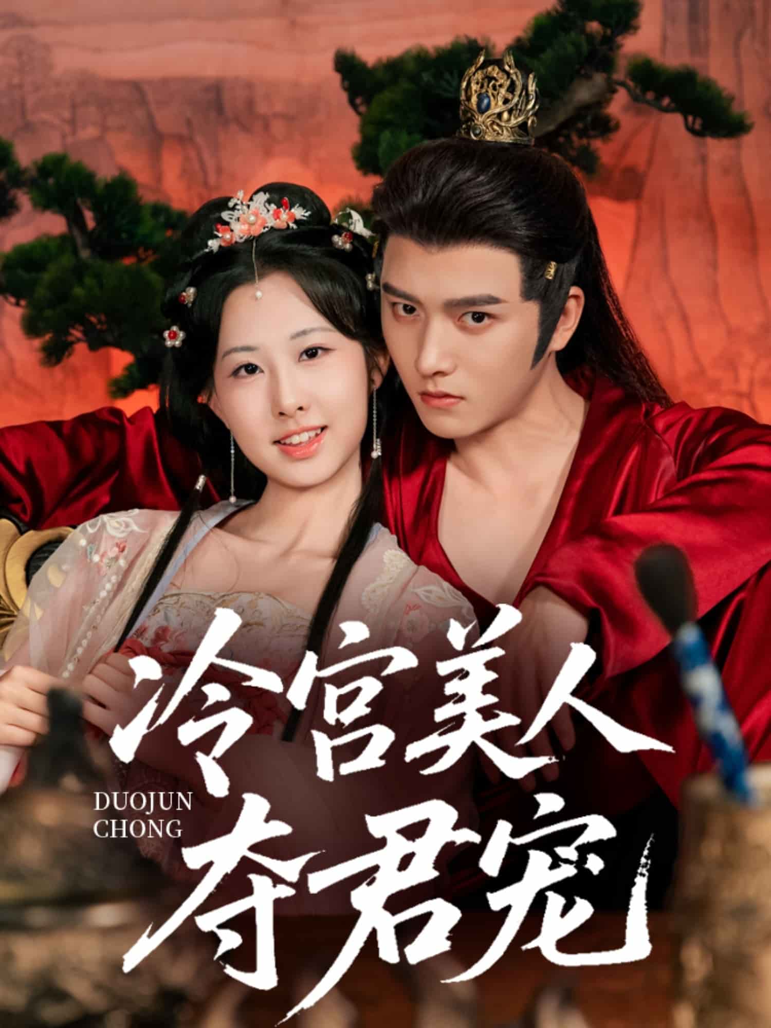 冷宫美人夺君宠第13集